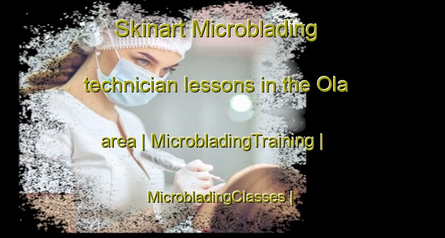 Skinart Microblading technician lessons in the Ola area | MicrobladingTraining | MicrobladingClasses | SkinartTraining-Niger